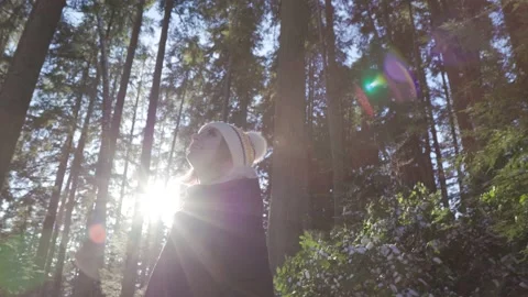 Outdoor forest winter, sunshine through trees, woman smiling looking, amazing Stock Footage 168965547