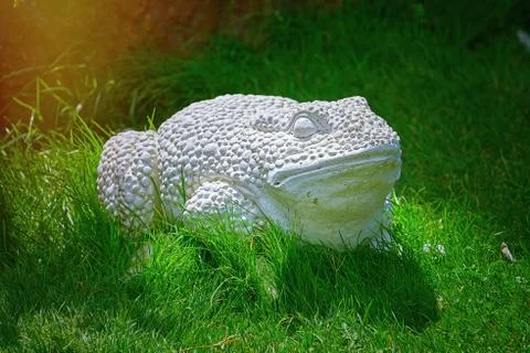 Outdoor Frog Statue Stock Photos