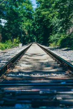Outdoor green forest and extended railway track Stock Photos