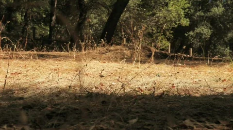 Outdoor Hiking 7 Stock Footage 625873