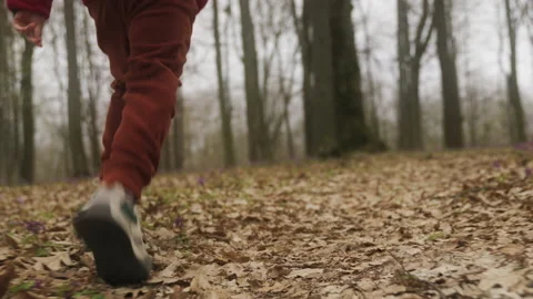 Outdoor image of kid's legs running in golden autumn forest. Portrait of kid Stock Footage 238889853