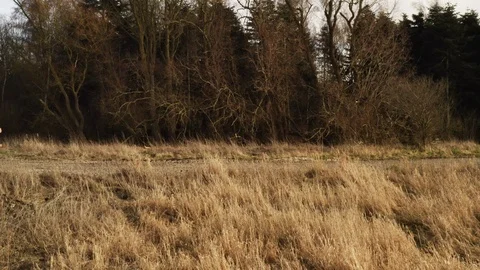 Outdoor Jogging Stock-Footage 105062653