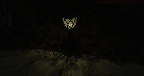 Outdoor Landscaping Path Light Stock Footage 92449097