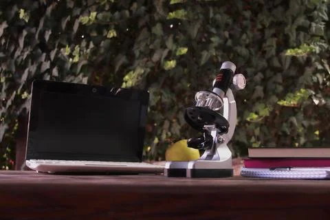 Outdoor learning, focus on microscope Stock Photos