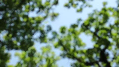 Outdoor Light Blur Video stock 327550988