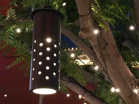 Outdoor Light in Tree Foto stock