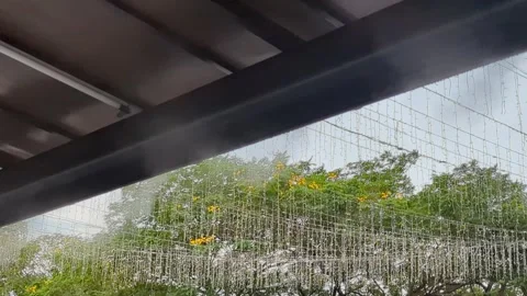Outdoor Misting System Spraying Water for Cooling Garden Area Stock Footage 330127019