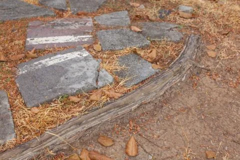 Outdoor Old root tree and stone block Stock Photos