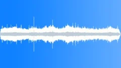 Outdoor Park Ambience - Loud Chirping Birds Sound Effect