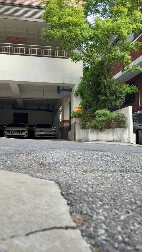Outdoor Parking Area With Large Tree Moving in a Breeze Stock Footage 340410001
