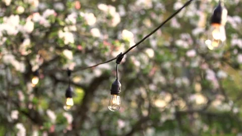 Outdoor party string lights hanging in backyard Stock Footage 76022168