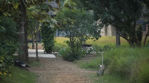 Outdoor path in Nepal Stock Footage 92713980