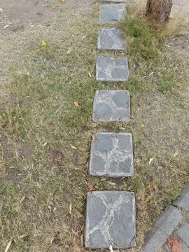 Outdoor Stock Photos