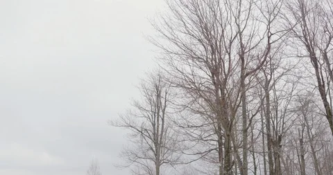 Outdoor Picnic Table Covered in Winter Snow Video stock 88229016