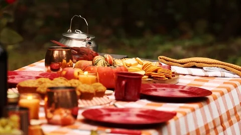 Outdoor Picnic Table Gets A Visitor Vídeos de archivo 125285452