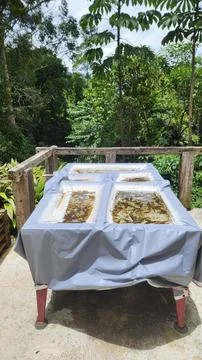 Outdoor pool table with puddles of standing water Stock Photos