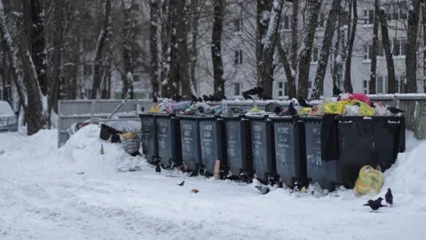 Outdoor public plastic garbage containers overflowing with household waste and Stock Footage 329214188