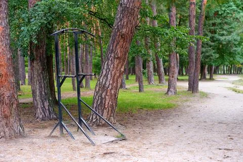 Outdoor pull-up bar and dips stand in the woods Stock-Fotos