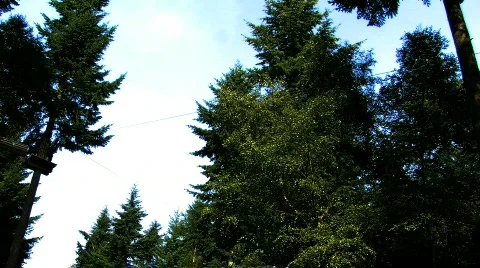 Outdoor Pursuits   Stock Footage 836563