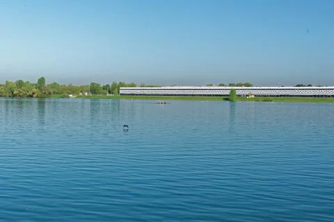 Outdoor Rowing Stock Photos