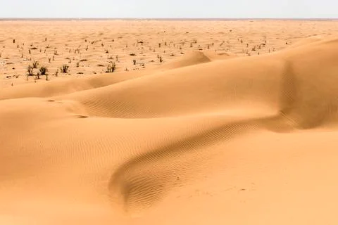 Outdoor sand pattern dune oman old desert rub al khali Stock Photos