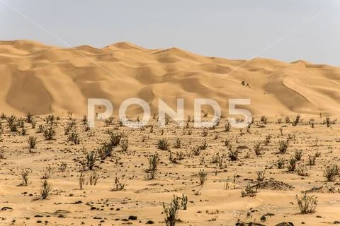Outdoor sand pattern dune oman old desert rub al khali Stock Photos