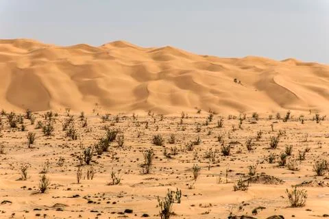 Outdoor sand pattern dune oman old desert rub al khali Stock Photos