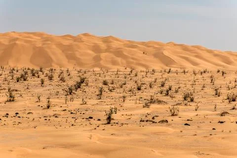 Outdoor sand pattern dune oman old desert rub al khali Stock Photos