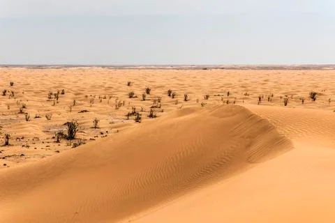 Outdoor sand pattern dune oman old desert rub al khali Stock Photos