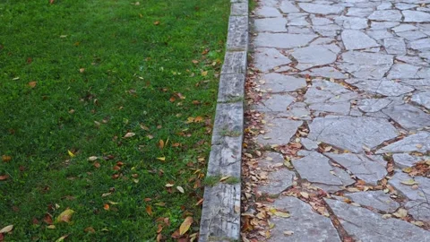 Outdoor Scene with Grass and Stone Pathway Stock Footage 292000895