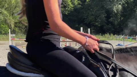 Outdoor school with obstacles for equestrian training Stock Footage 280730139