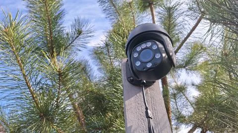 Outdoor security camera in pine tree environment Stock Photos