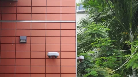 Outdoor Security Cameras Mounted on Tiled Building Wall Near Green Foliage for Stock Footage 344355197