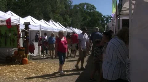 Outdoor Shopping Stock Footage 10790871