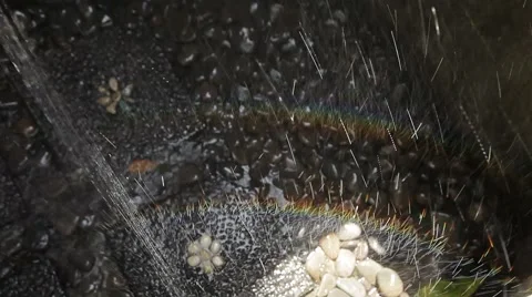 Outdoor shower in the backyard. Rainbow in the jets of water. Stock Footage 50134643