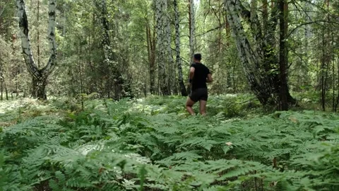 Outdoor sports Video stock 247248564