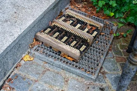 Outdoor step with metal shoe grate and wooden brush mat Stock Photos