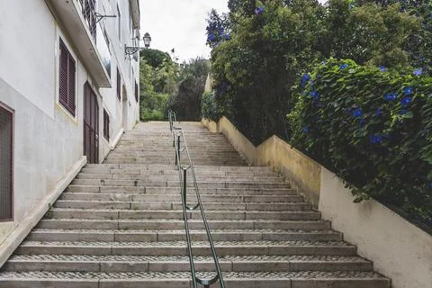 Outdoor steps climbing up with building on one side and plants on the other Stock Photos