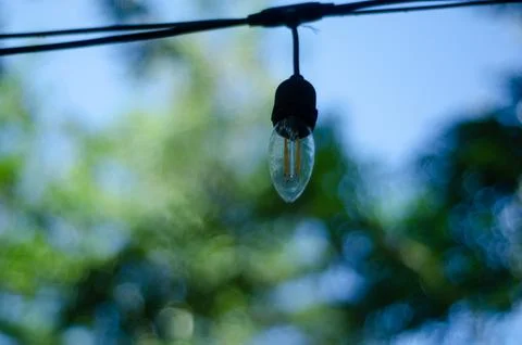 Outdoor String Light Bulb Hanging Against Blurred Greenery and Blue Sky Stock Photos