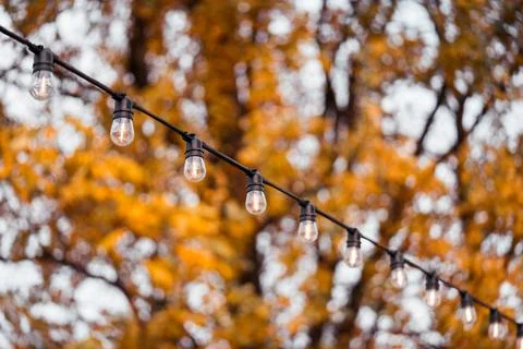 Outdoor string light bulbs on golden autumn trees and warm bokeh background.. Stock Photos
