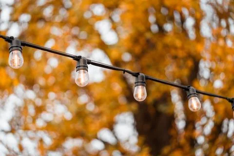Outdoor string light bulbs on golden autumn trees and warm bokeh background.. Stock Photos