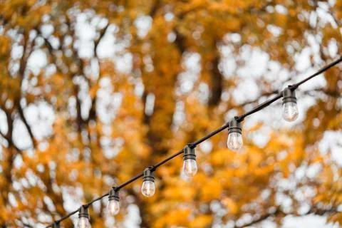 Outdoor string light bulbs on golden autumn trees and warm bokeh background.. Stock Photos