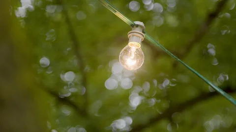 Outdoor string lights hanging on trees. Backyard patio, party, celebration Stock Footage 89895642