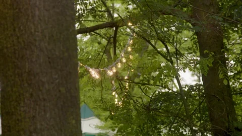 Outdoor string lights hanging on trees. Backyard patio, party, celebration Stock Footage 89895645
