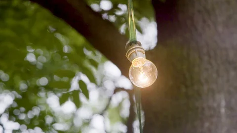 Outdoor string lights hanging on trees. Backyard patio, party, celebration Stock Footage 89895648