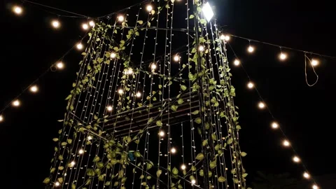 Outdoor String Lights Illuminate Night Landscape with synthetic Vines Stock Footage 305394240