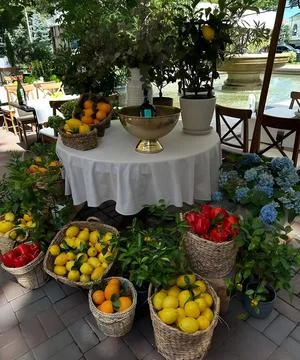 Outdoor Table with Wicker Baskets of Lemons, Oranges, and Red Peppers Stock Photos