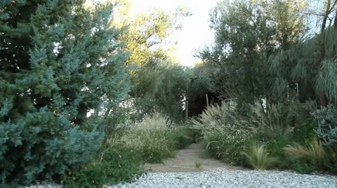 Outdoor Trail Stock Footage 40815355