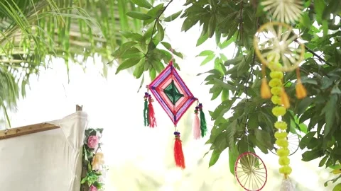 Outdoor Tree Decor Stock Footage 247262263