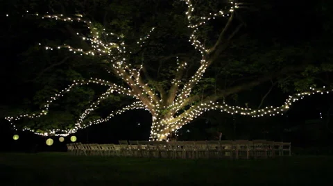 Outdoor Tree Lights Stock Footage 45937890